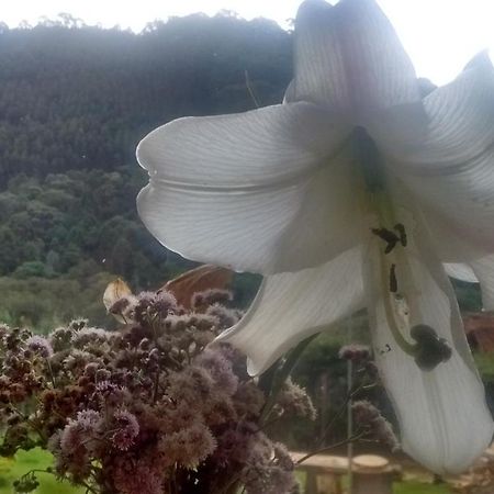 Morada Rancho Da Lua Bed and Breakfast Monte Verde  Exterior foto